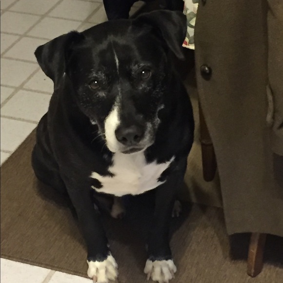 Meet your Posher, Shelley - Picture 11 of 11